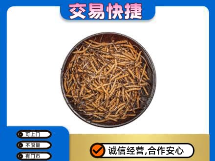 呼伦贝尔市新巴尔虎右高价回收散虫草